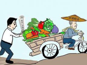廣金電商扶貧發(fā)展特色產(chǎn)業(yè)，微商城助農(nóng)增收